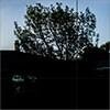 Translucent Black Black Translucent Glass Panel